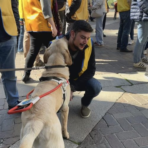 cani guida lions olgiate comasco